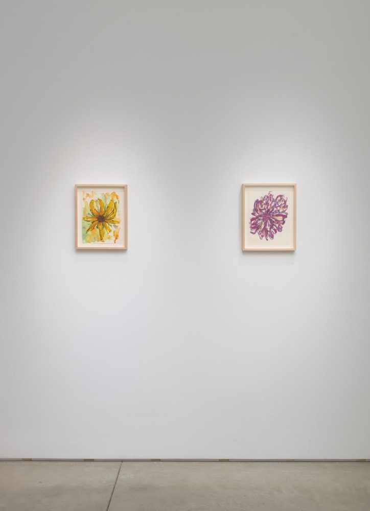 Installation view of Hannah Wilke Flowers​​​​​​​, 2023