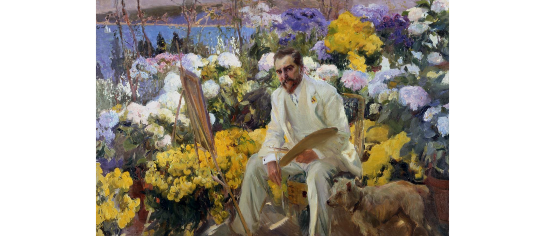 banner sorolla