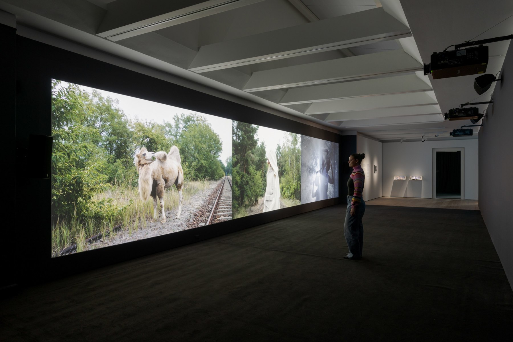 Yael Bartana - Things to Come - Viewing Room - Petzel Gallery