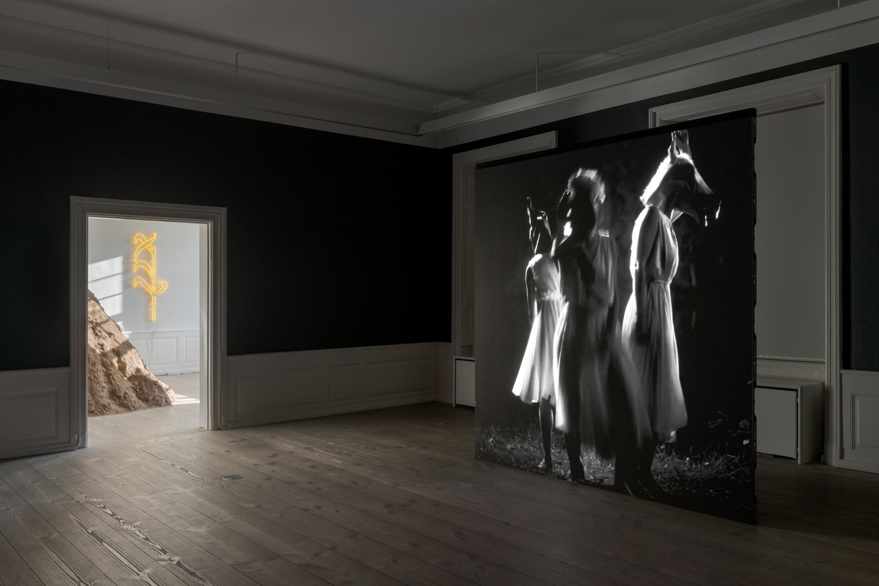 Yael Bartana - Things to Come - Viewing Room - Petzel Gallery