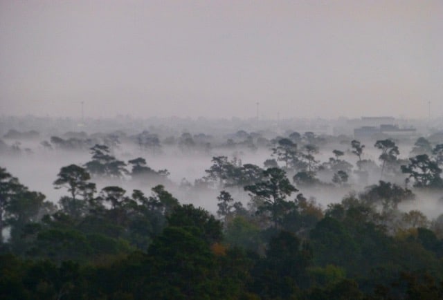 Kathryn Rabinow, Morning Fog (Houston),&nbsp;2012