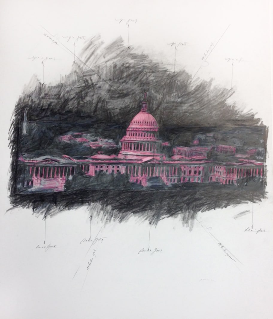 Grover Mouton United States Capitol in Space, Pink, 2014
