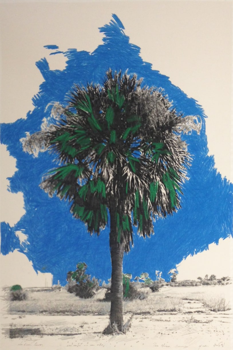 Grover Mouton Palm Tree, Vertical, 2014