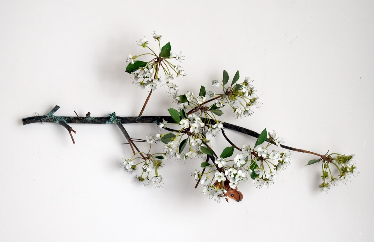 Carmen Almon Hanging Pear Blossom Branch with Linnaeus Moth, 2019