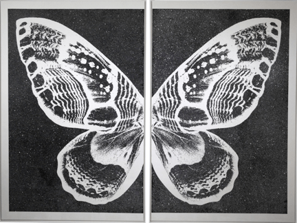 Rubem Robierb (1976), Hybrid Pear Butterfly on Black, 2015