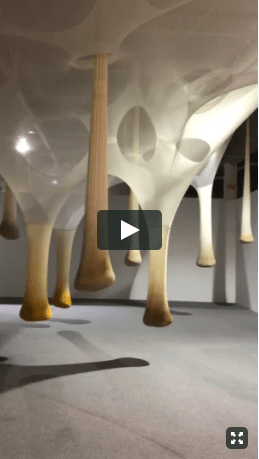 Ernesto Neto at the Margulies Collection