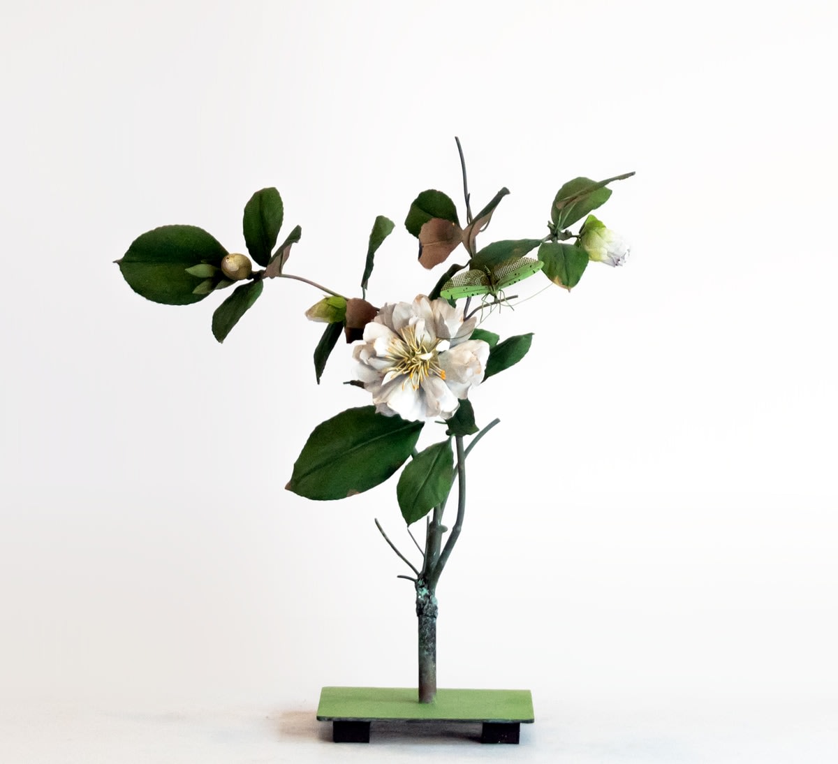 Carmen Almon White Camellia with Green Kaytid, 2019