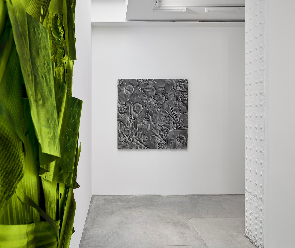Installation view William Monaghan, Environmental Studies, Octavia Gallery, 2019_Andy Romer Photography