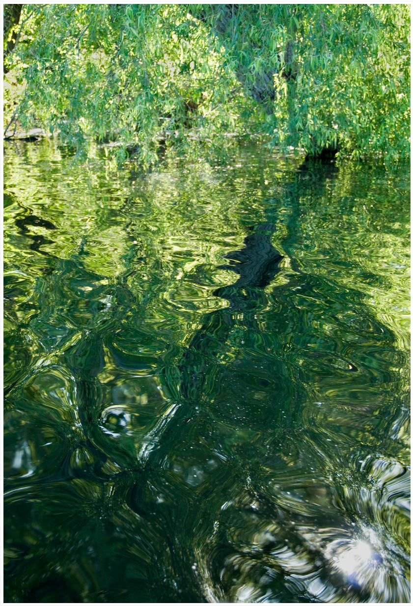 Michel Varisco, Liquid landscape, Louisiana, 2014