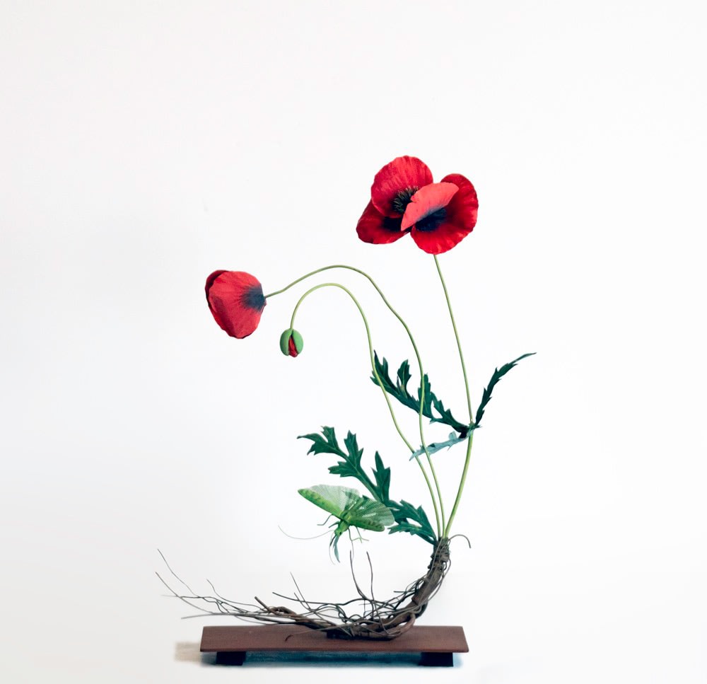 Carmen Almon, Red Poppy with Flying Green Grasshopper, 2019