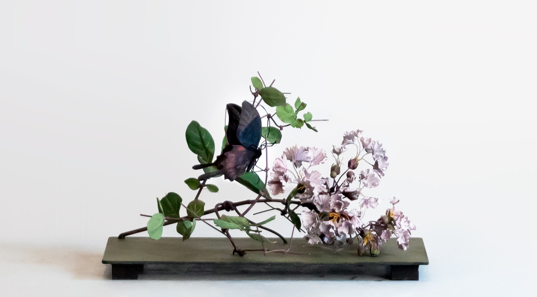Carmen Almon Crepe Myrtle with Large Dark Butterfly, 2019