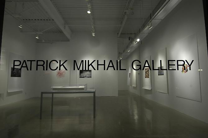 MICROCOSM | VUE D&#039;EXPOSITION | GALERIE PATRICK MIKHAIL | OTTAWA | 2009
