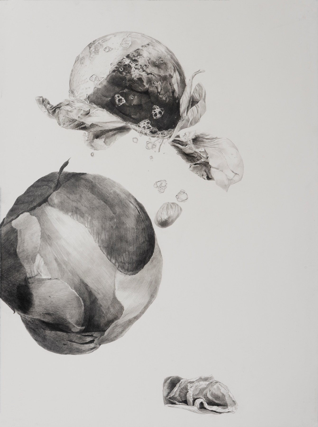Dead Flowers 3, graphite on paper, 30 x 22 1/2 in, JR039