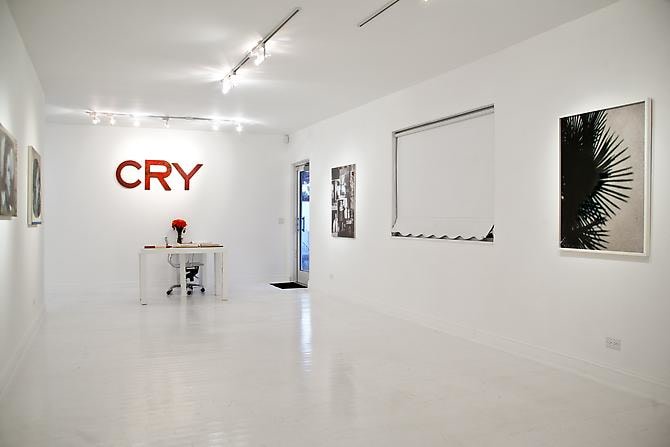 Installation view &quot;The Palm Beach Beach Story, or Whatever Happened to Baby Jane&quot;, 2012
