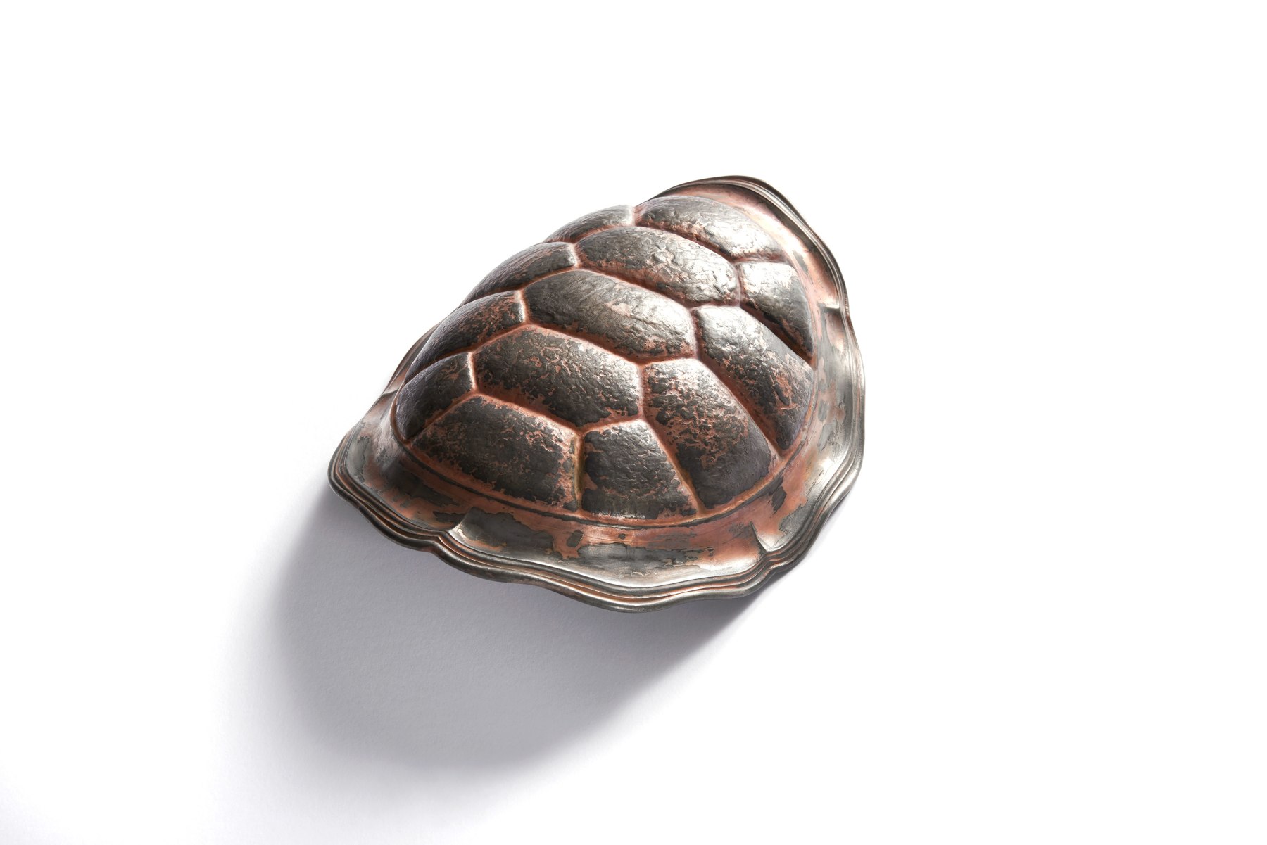 David Bielander Tortoise Shell