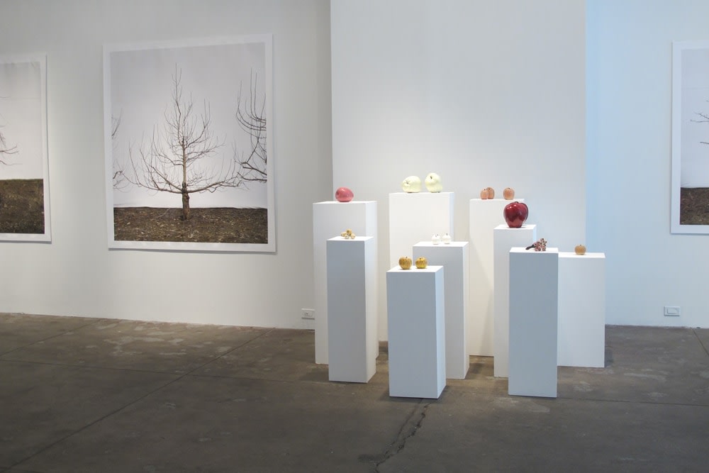 Installation view of Jessica Rath, featuring sculptures and large prints