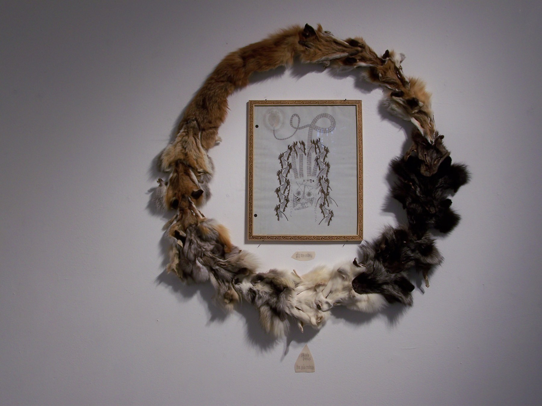 Framed drawing surrounded by taxidermy animals