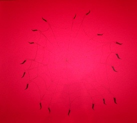 Spiderweb drawn on red paper