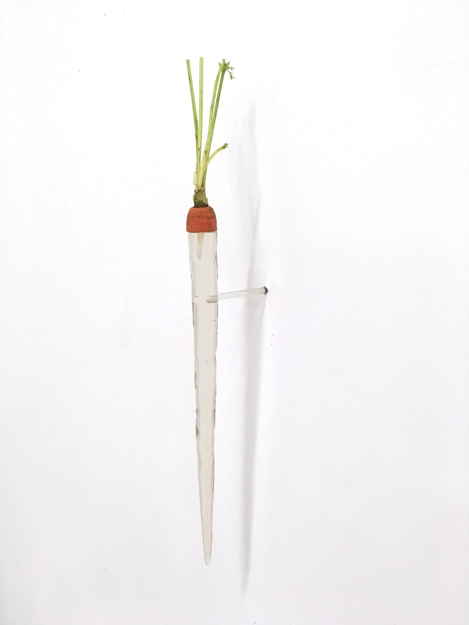  Carrot/Icicle, 2016