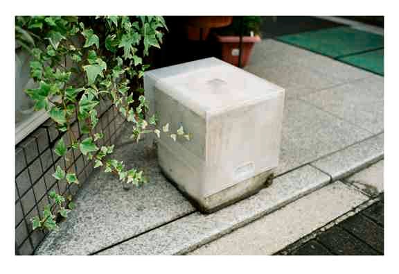 Photo of mysterious box next to ivy