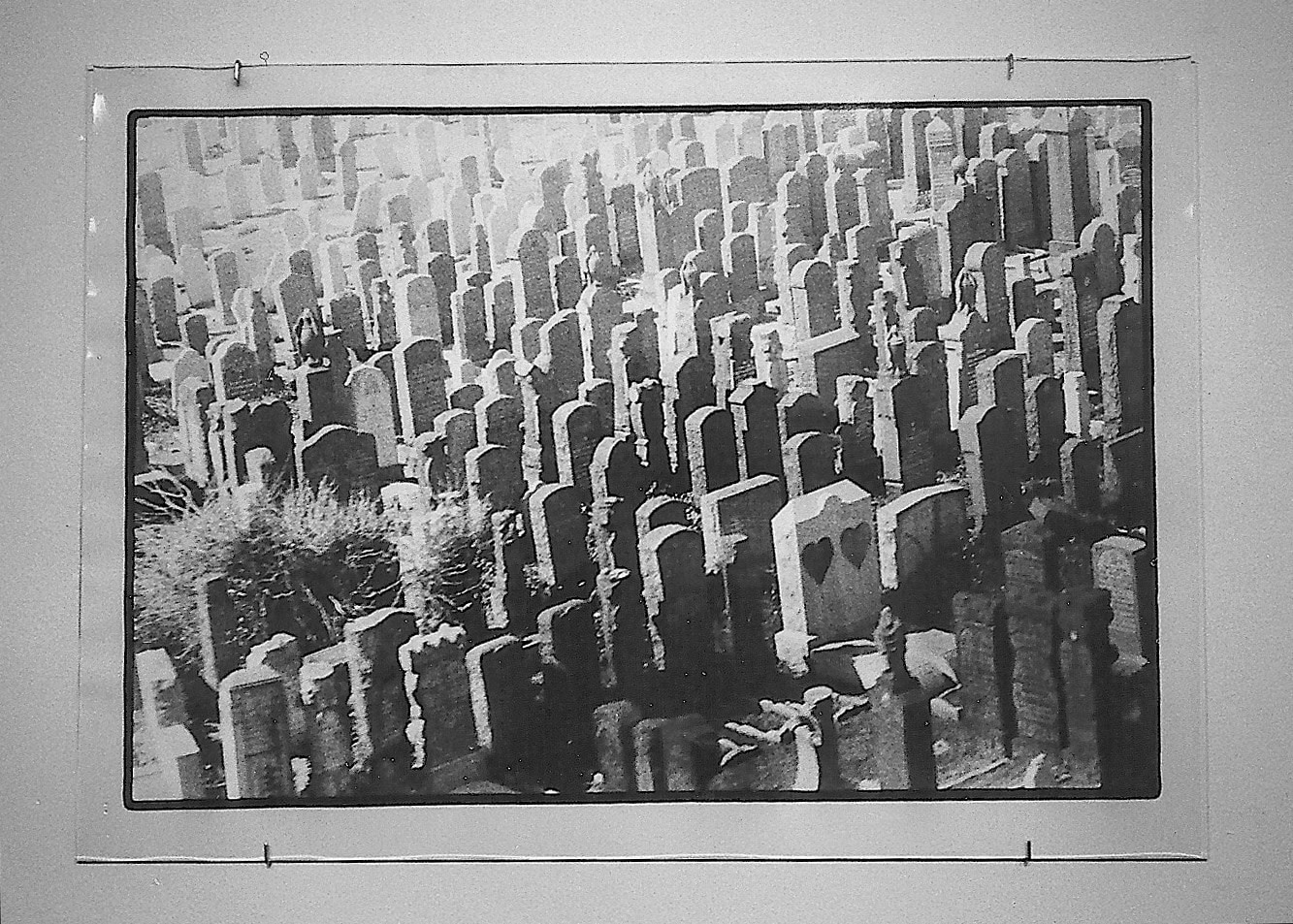 Black and white photo of graveyard