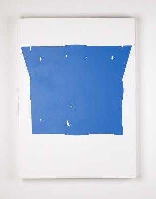 blue shape on white canvas
