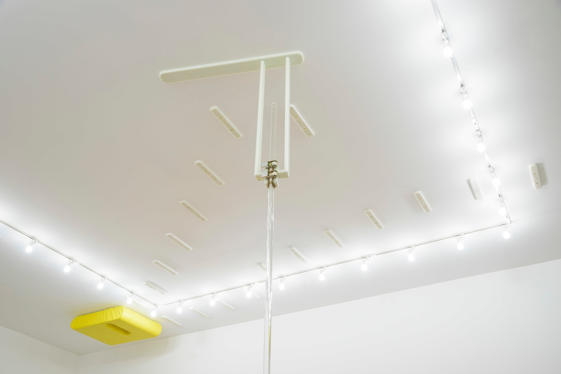 Installation view of Matthew Barney: REPRESSIA (decline), Los Angeles County Museum of Art, Los Angeles, California; July 23, 2023 – January 7, 2024