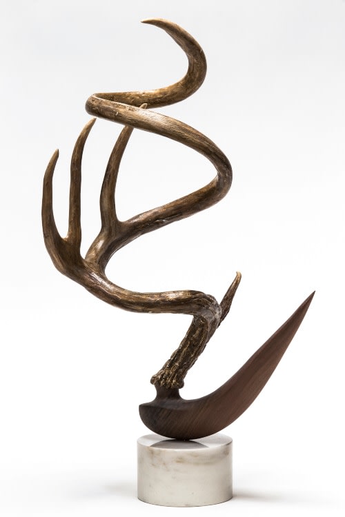 Metamorphosis VI, 2015 Mule deer antler, black walnut and mixed media on marble base 24 x 12 x 13 inches