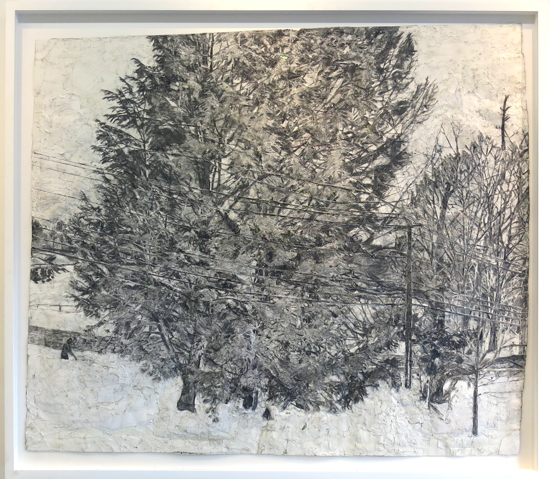 Hemlock Trees Seen from Upstairs, Window in the Snow, 2007-2014