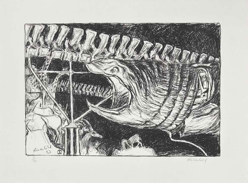 J&uuml;rg Kreienb&uuml;hl ​​​​​​​Requin et colonne vert&eacute;brale de baleine 1983 lithograph lithographie