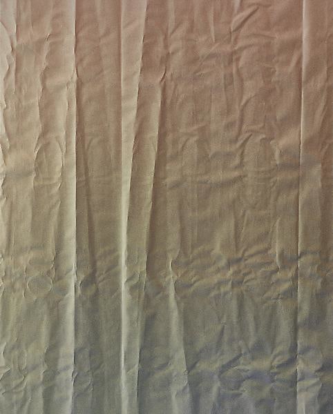 Tauba Auerbach Untitled (Fold), 2011
