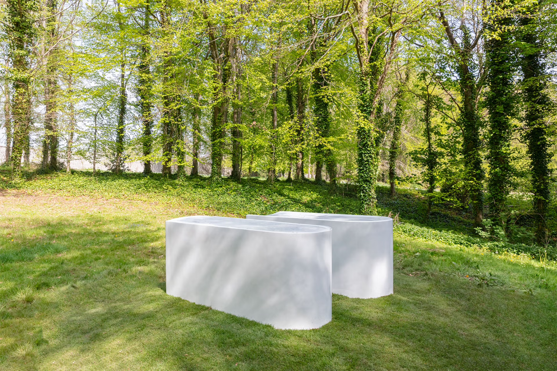 Two white oval sculptures in a wooded field