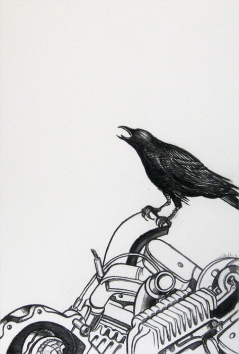 AYAD ALKADHI, Crow on Carcass (In Vitro series), 2013