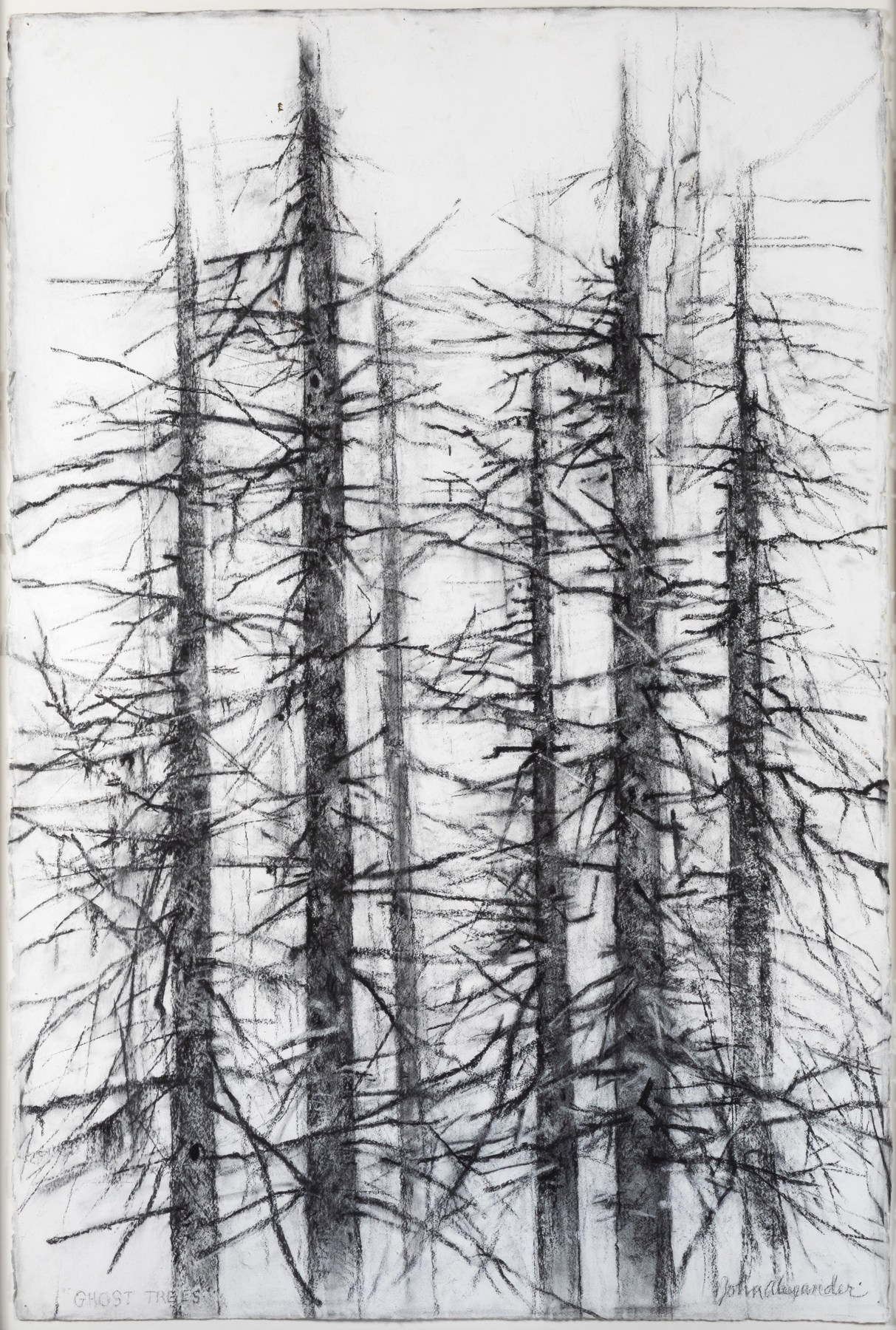 John Alexander Ghost Trees, 2019