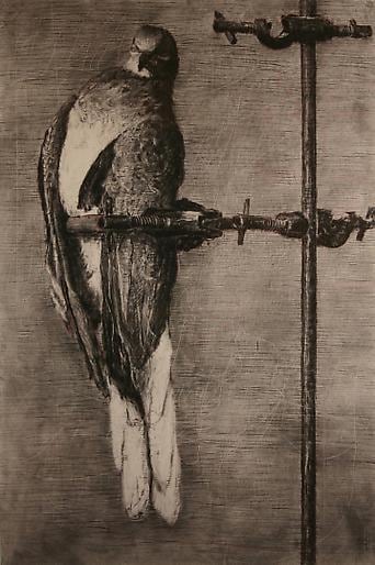 William Kentridge Birdcatcher