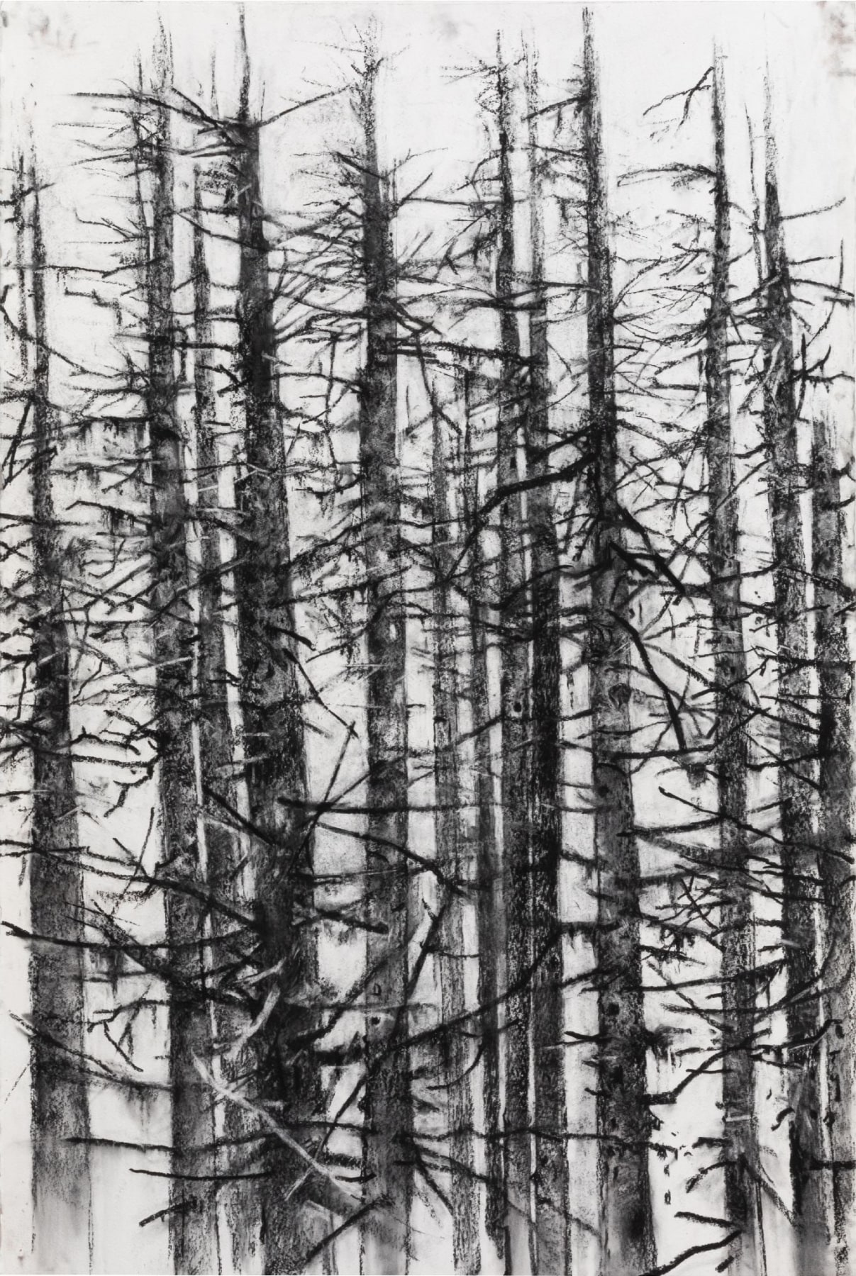 John Alexander Landscape and Memory, 2019