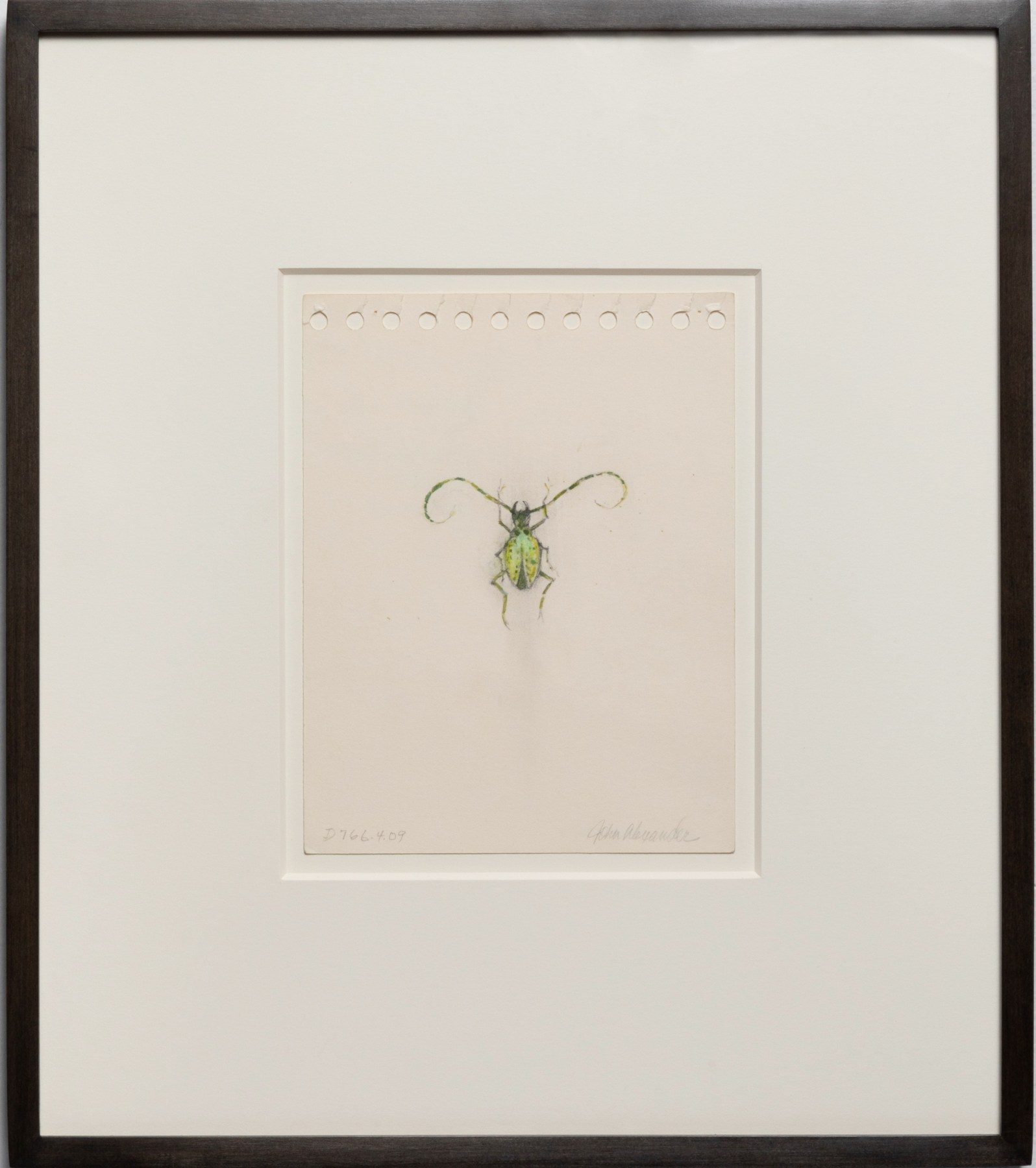 John Alexander Little Green Beetle, 2023