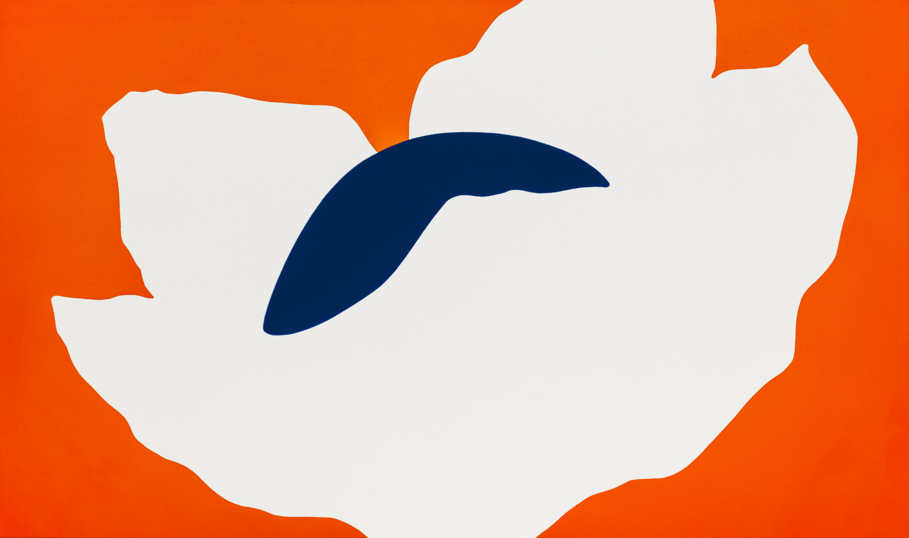 Paul Kremer Bloom 24, 2024
