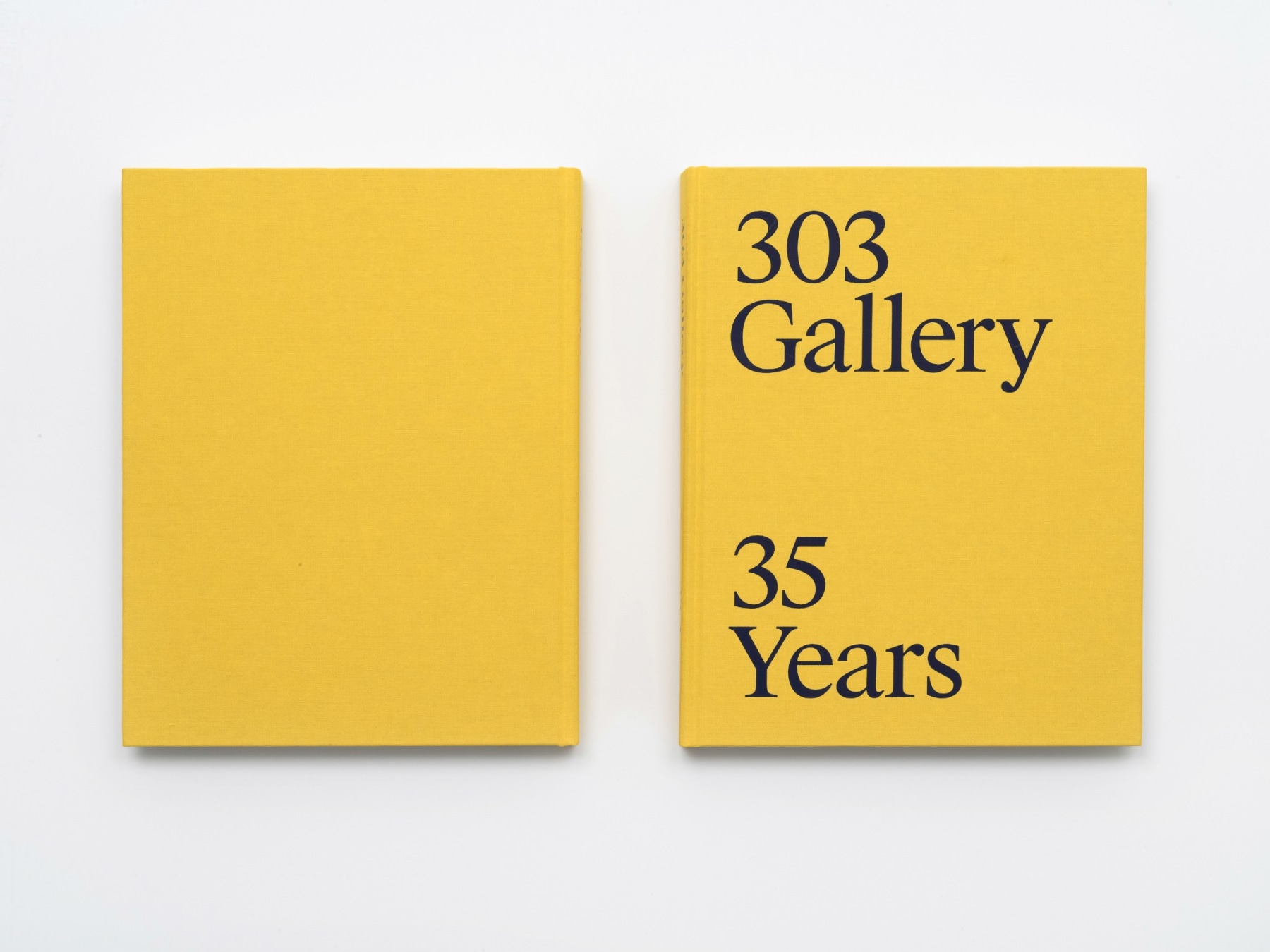 303 Gallery: 35 Years