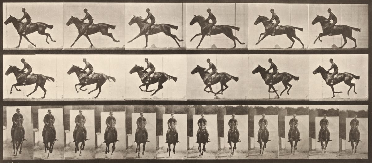 Sequence of black and white photos showing the movements of a galloping horse with a rider