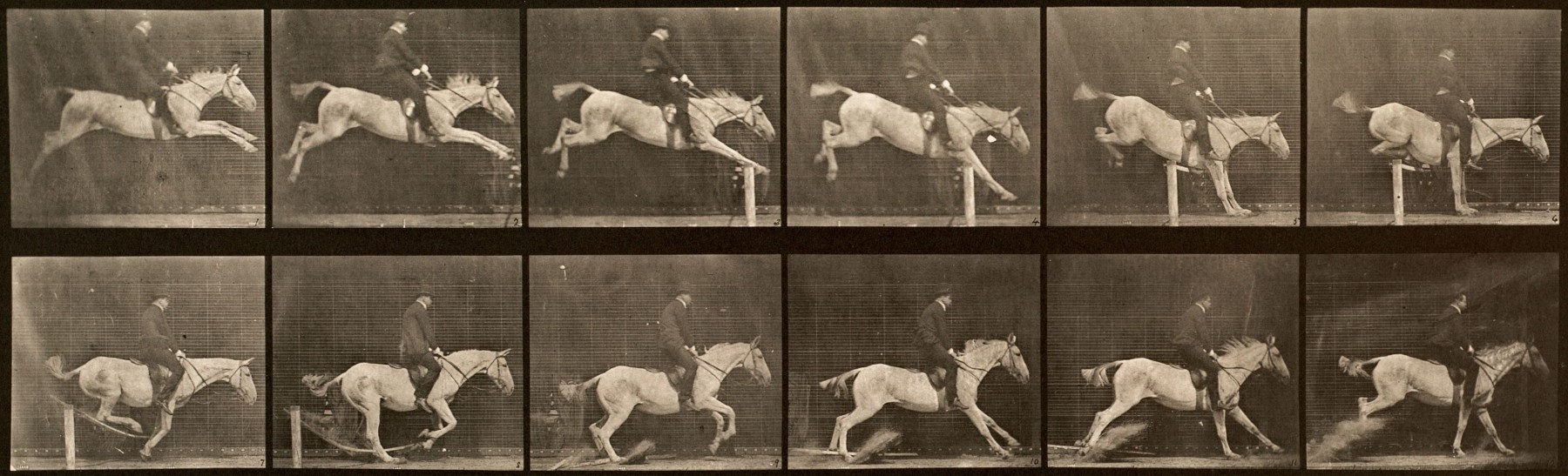 Sequence of black and white photos showing the movements of a horse and rider jumping a hurdle and knocking it over