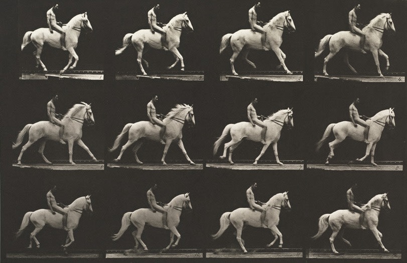 Sequence of black and white photos showing the movements of a horse with a bareback rider
