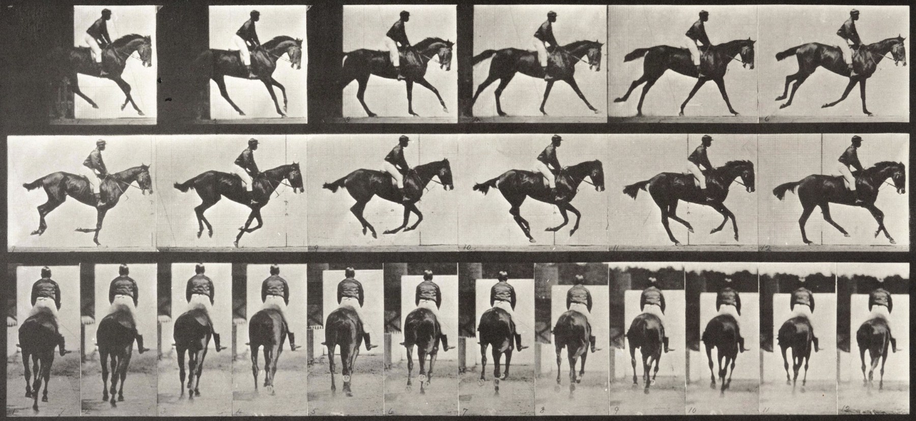 Sequence of black and white photos showing the movements of a man riding a horse