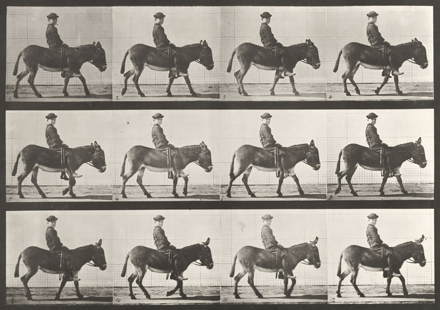 Sequence of black and white photos showing the movements of a young boy riding a donkey