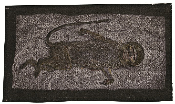 Lucian Freud, Dead Monkey, 1950