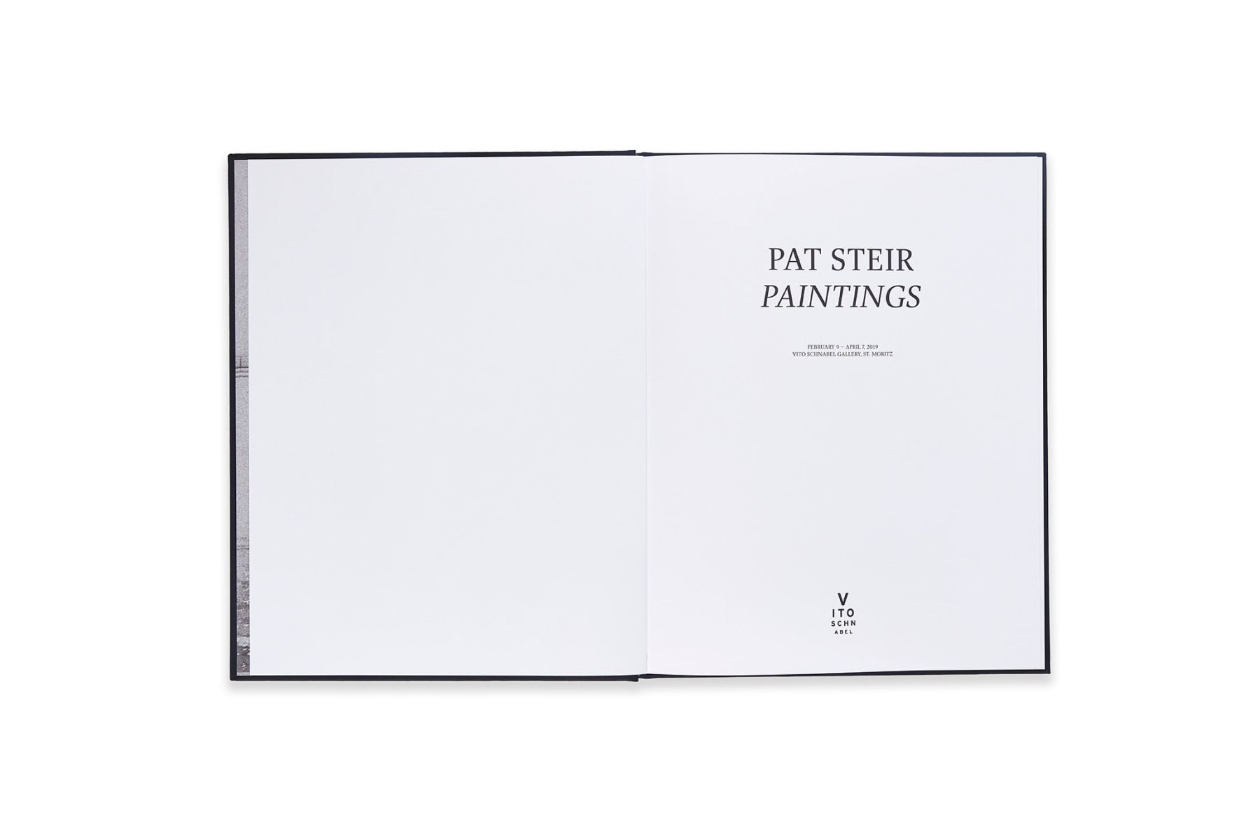Image of Pat Steir: Paintings Catalogue spread