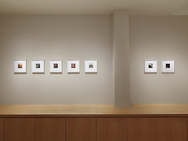 Installation view of &quot;Lucas Samaras: Photo-Transformations&quot;. Photograph by Dan Bradica.&nbsp;