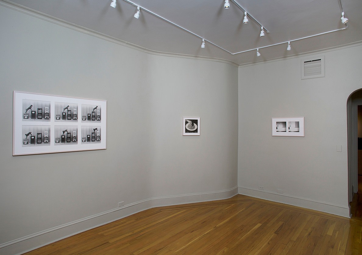 Installation view of Eureka: William Wegman Photographs 1970-1975 at Craig F. Starr Gallery