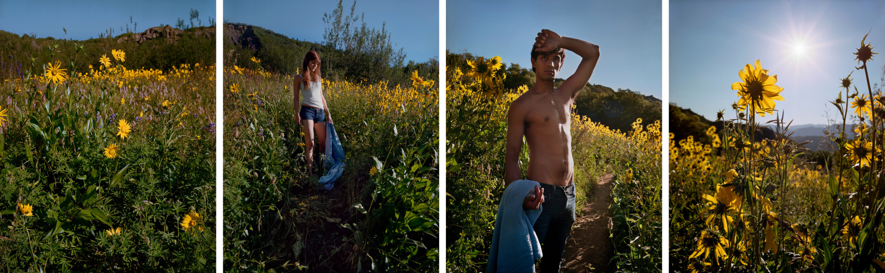 Yellow, Blue, 2012. Four-panel archival pigment print, available as&nbsp;24 x 90 or 40 x 120 inches.&nbsp;