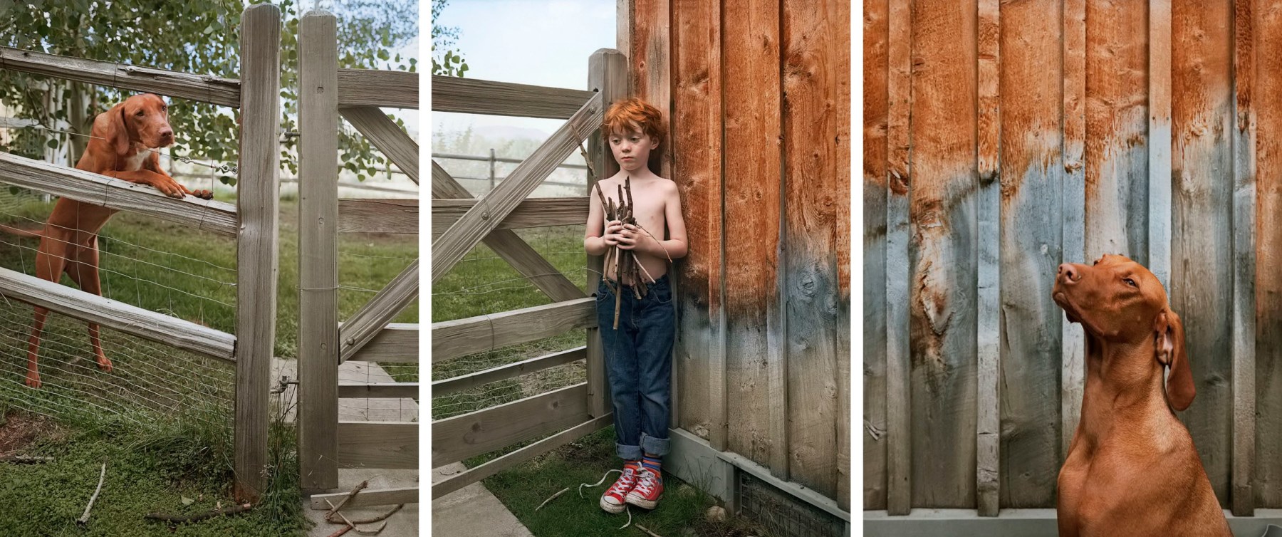 Still with Sticks, 2013. Three-panel archival pigment print, available as&nbsp;24 x 60 or 40 x 90 inches.&nbsp;